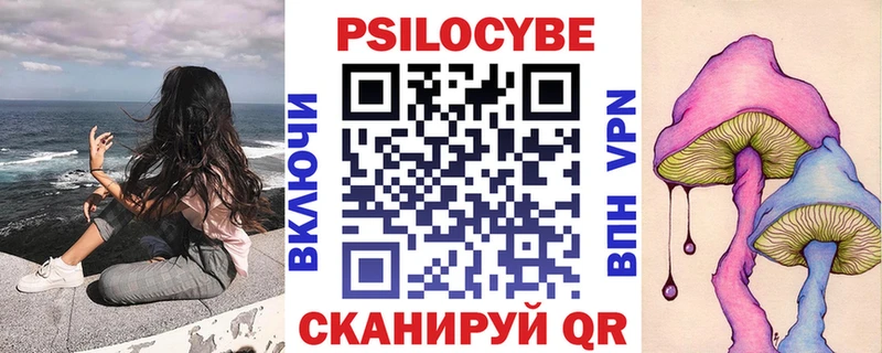 ссылка на мегу tor  цена наркотик  Заводоуковск  Галлюциногенные грибы Psilocybine cubensis 