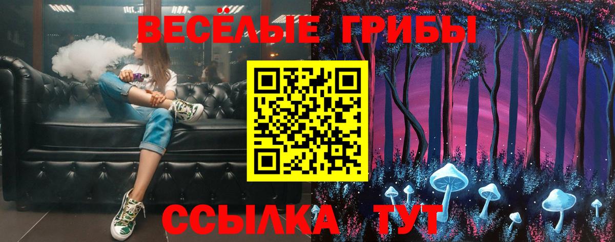 Галлюциногенные грибы ЛСД  Вход с VPN  Заводоуковск 