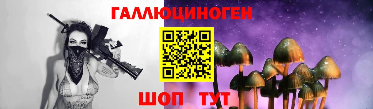 Галлюциногенные грибы Cubensis Заводоуковск