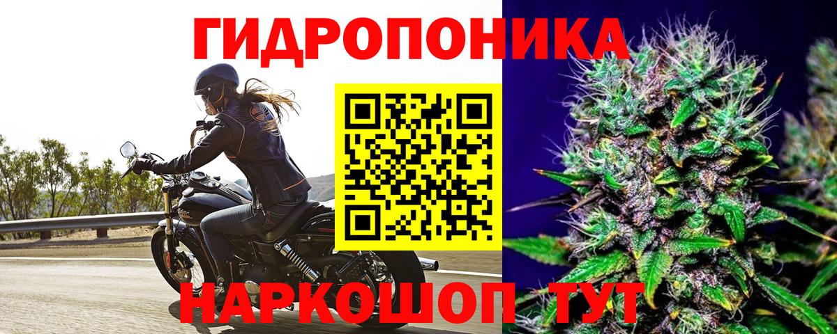 Марихуана ГИДРОПОН Заводоуковск
