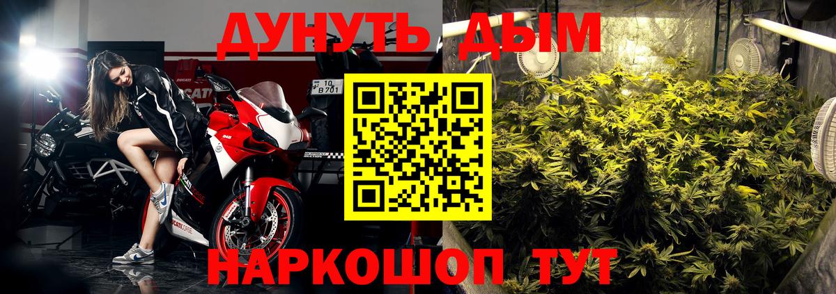 Бошки Шишки гибрид  Марихуана Ganja  Заводоуковск  Вход с VPN  Каннабис Bruce Banner  Бошки Шишки OG Kush 